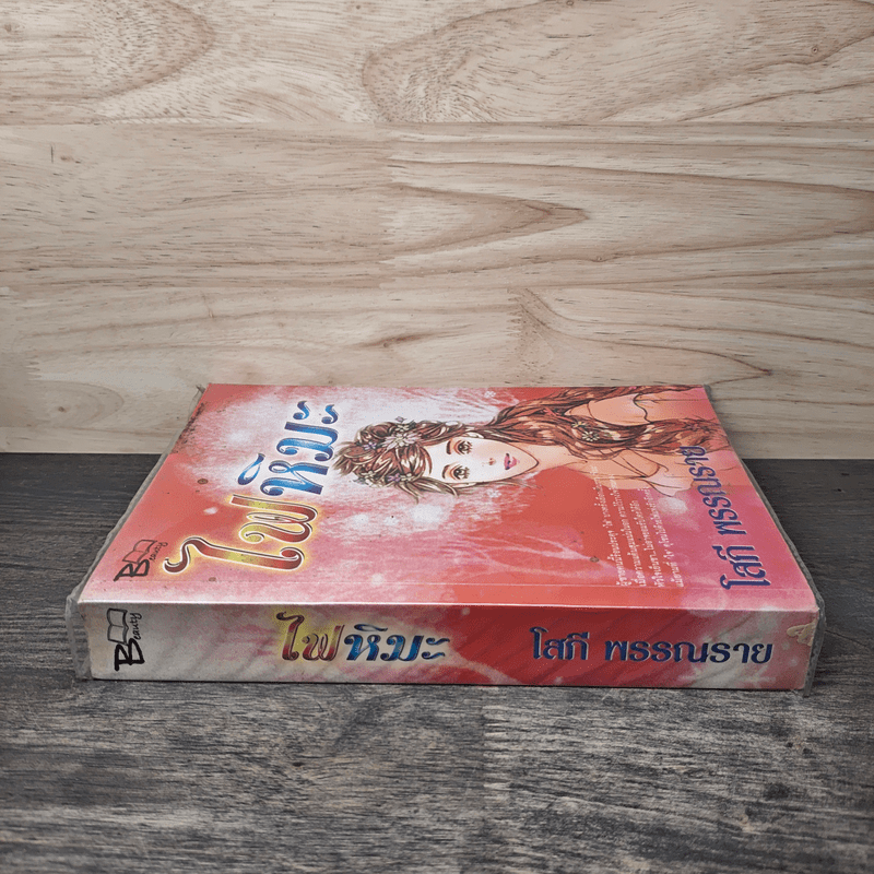 ไฟหิมะ - โสภี พรรณราย