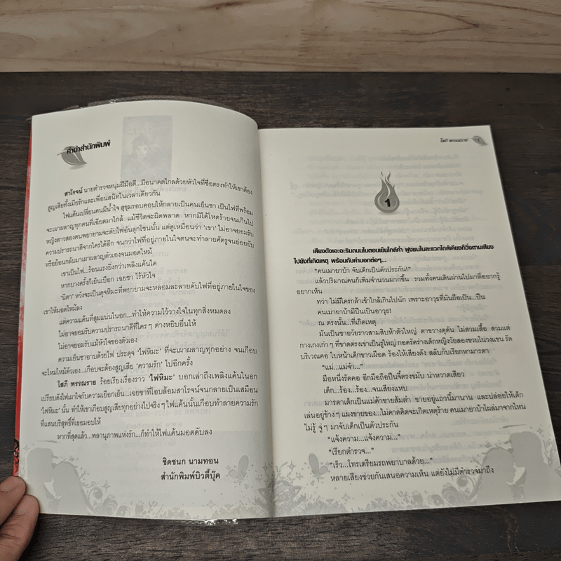 ไฟหิมะ - โสภี พรรณราย