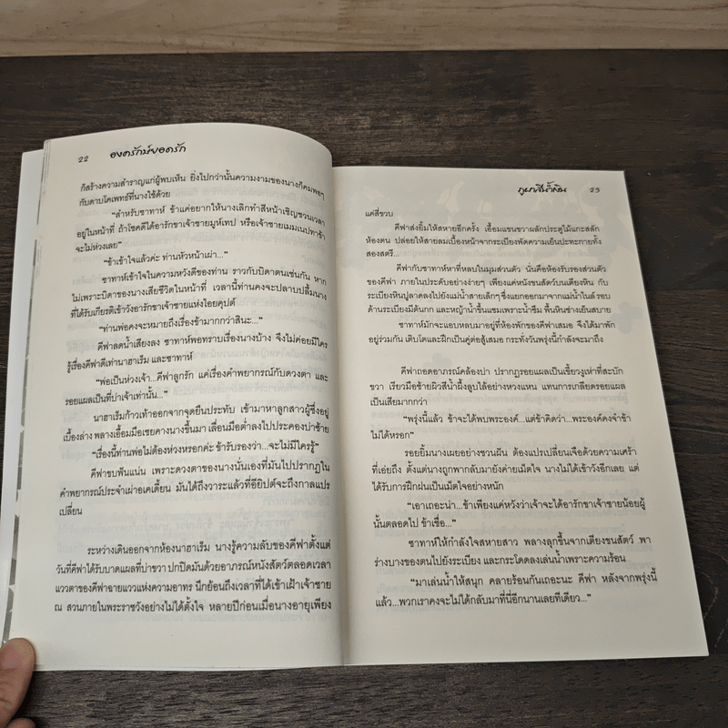 องครักษ์ยอดรัก - ภูผาสีน้ำเงิน