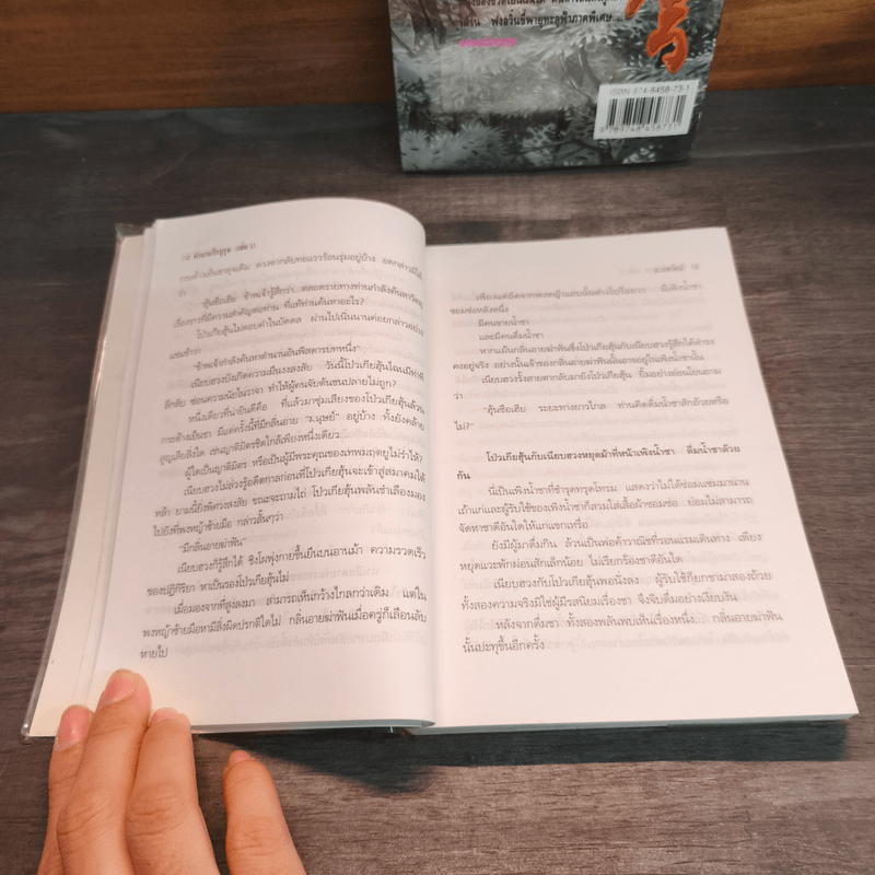 ฟงอวิ๋น ขี่พายุทะลุฟ้าภาคพิเศษ ตอน ตำนานวีรบุรุษ 2 เล่มจบ - น.นพรัตน์