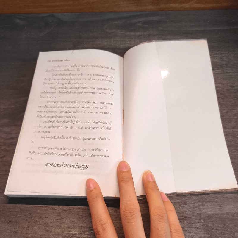 ฟงอวิ๋น ขี่พายุทะลุฟ้าภาคพิเศษ ตอน ตำนานวีรบุรุษ 2 เล่มจบ - น.นพรัตน์