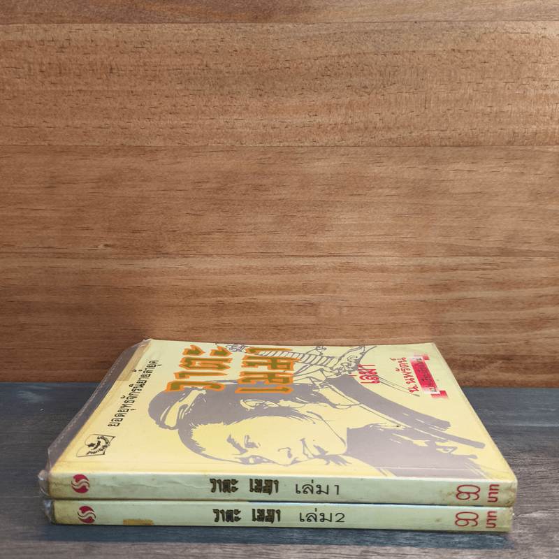 วาตะเมฆา 2 เล่มจบ - น.นพรัตน์