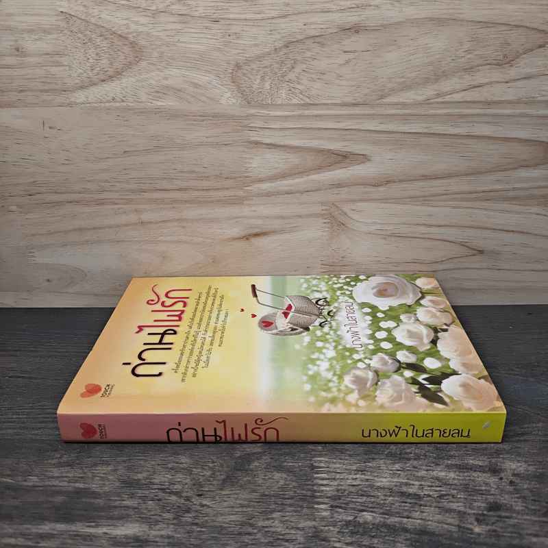 ถ่านไฟรัก - นางฟ้าในสายลม