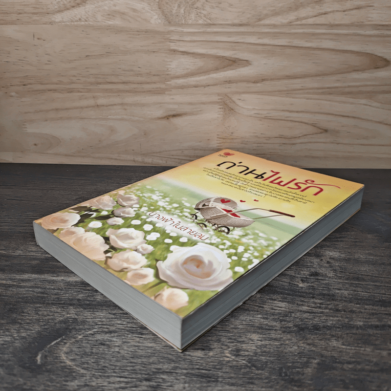 ถ่านไฟรัก - นางฟ้าในสายลม