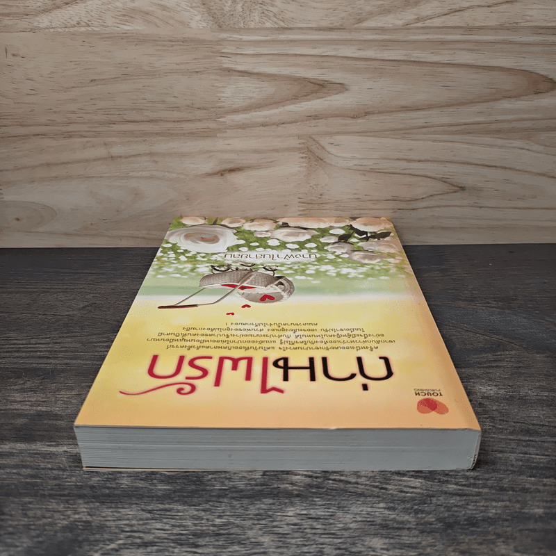 ถ่านไฟรัก - นางฟ้าในสายลม