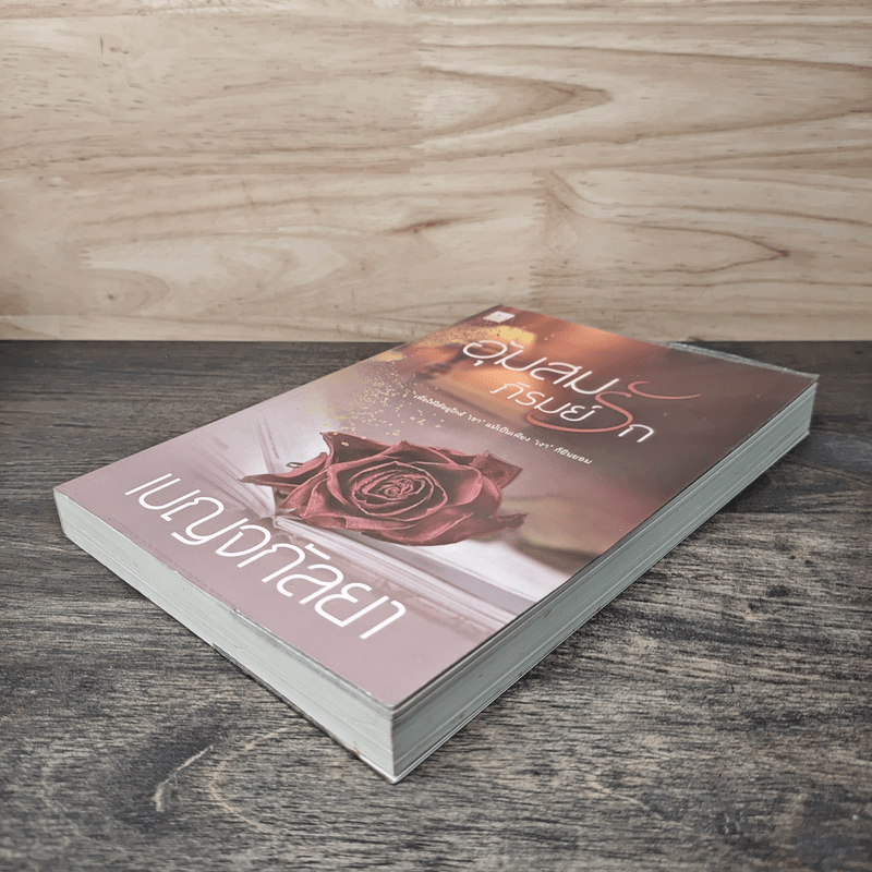 อุ้มสมภิรมย์รัก - เบญจกัลยา