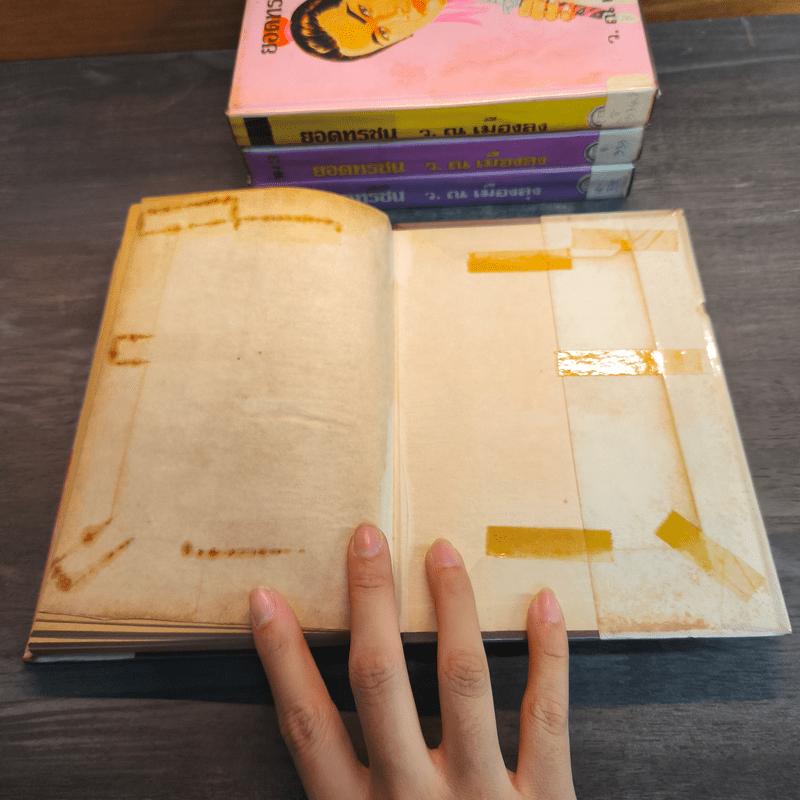 ยอดทรชน 4 เล่มจบ - ว.ณ เมืองลุง