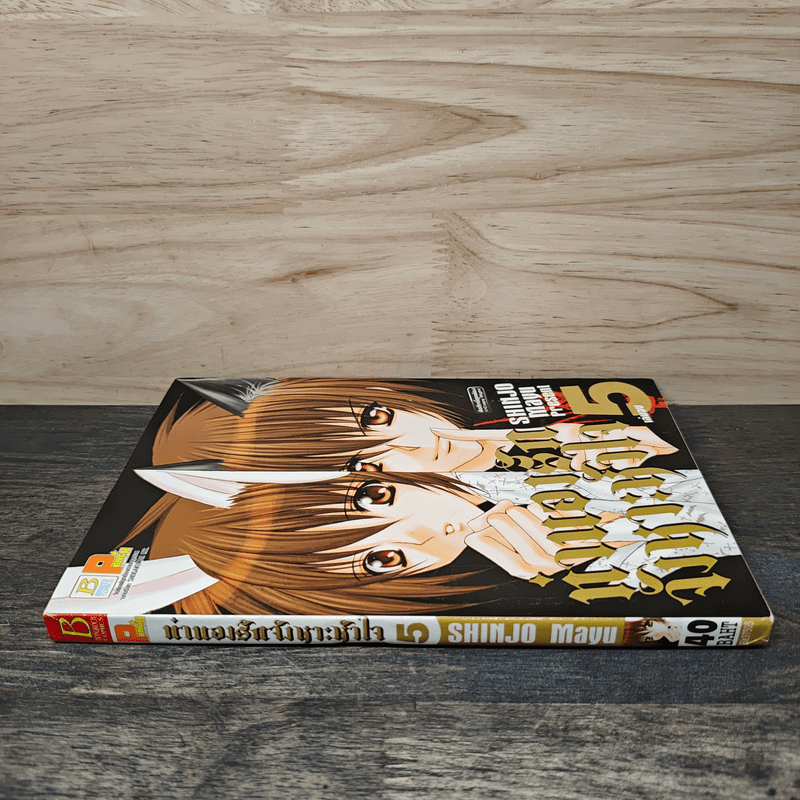 ทำนองรักจังหวะหัวใจ เล่ม 5