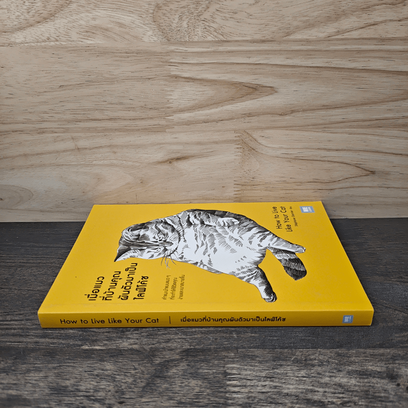 เมื่อแมวที่บ้านคุณผันตัวมาเป็นไลฟ์โค้ช - Stephane Garnier