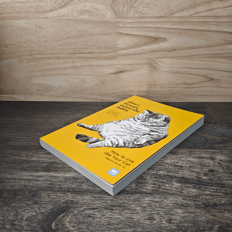 เมื่อแมวที่บ้านคุณผันตัวมาเป็นไลฟ์โค้ช - Stephane Garnier