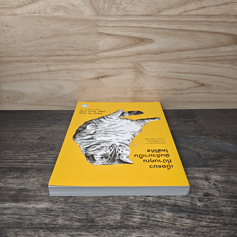 เมื่อแมวที่บ้านคุณผันตัวมาเป็นไลฟ์โค้ช - Stephane Garnier