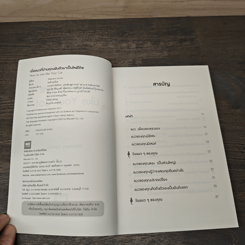 เมื่อแมวที่บ้านคุณผันตัวมาเป็นไลฟ์โค้ช - Stephane Garnier