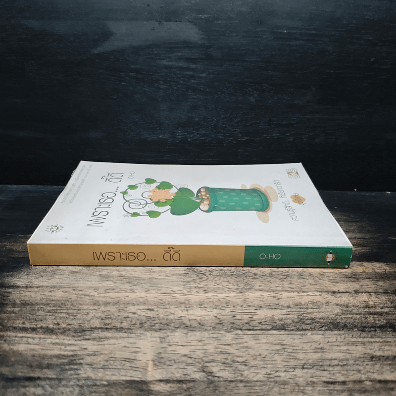 เพราะเธอ...ดี๊ดี - O-HO