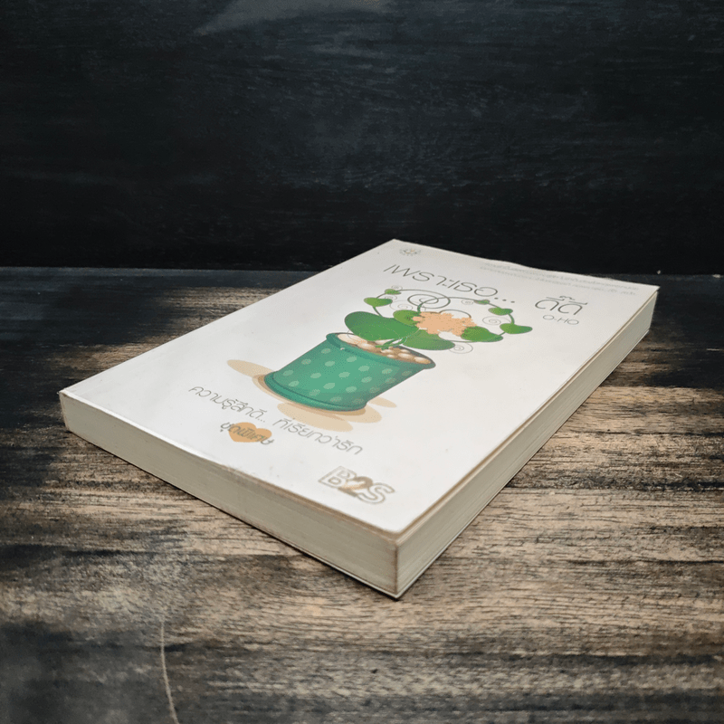 เพราะเธอ...ดี๊ดี - O-HO