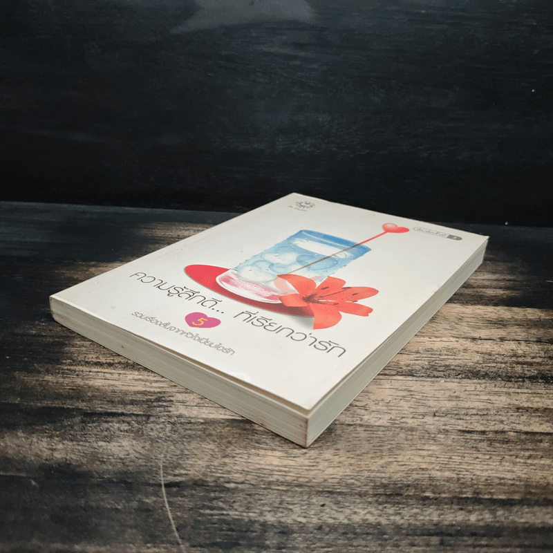 ความรู้สึกดี...ที่เรียกว่ารัก 5