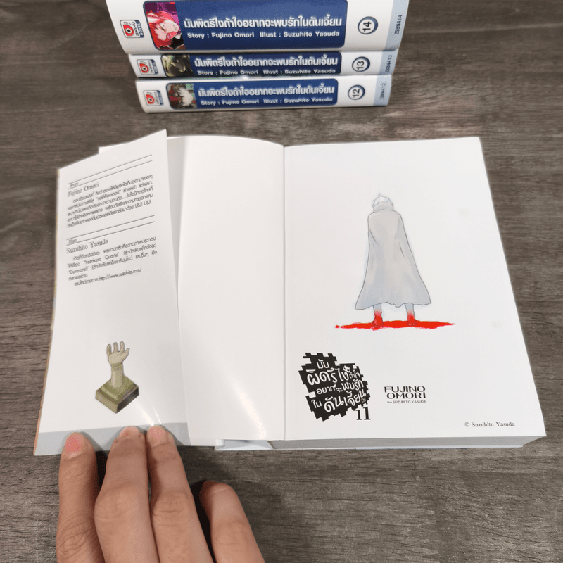 มันผิดรึไงถ้าใจอยากจะพบรักในดันเจี้ยน เล่ม 11-16 - Fujino Omori