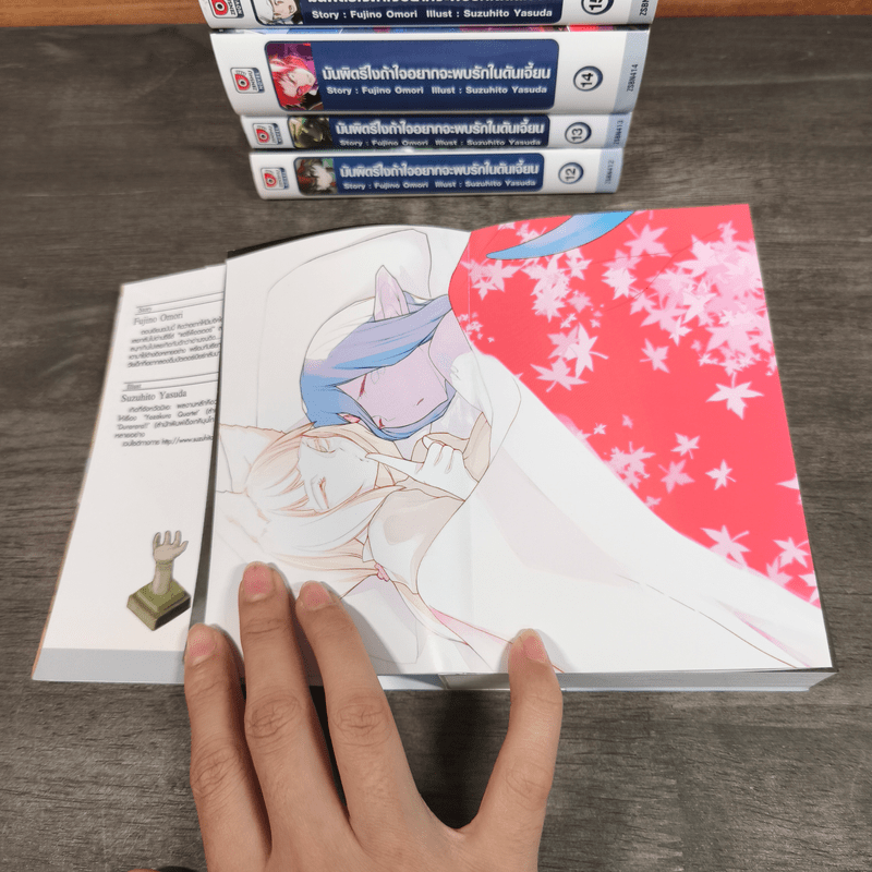 มันผิดรึไงถ้าใจอยากจะพบรักในดันเจี้ยน เล่ม 11-16 - Fujino Omori