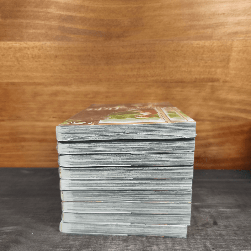 เจ้าสาวผมแดงกับจอมเวทอสูร เล่ม 1-9 - Yamazaki Kore