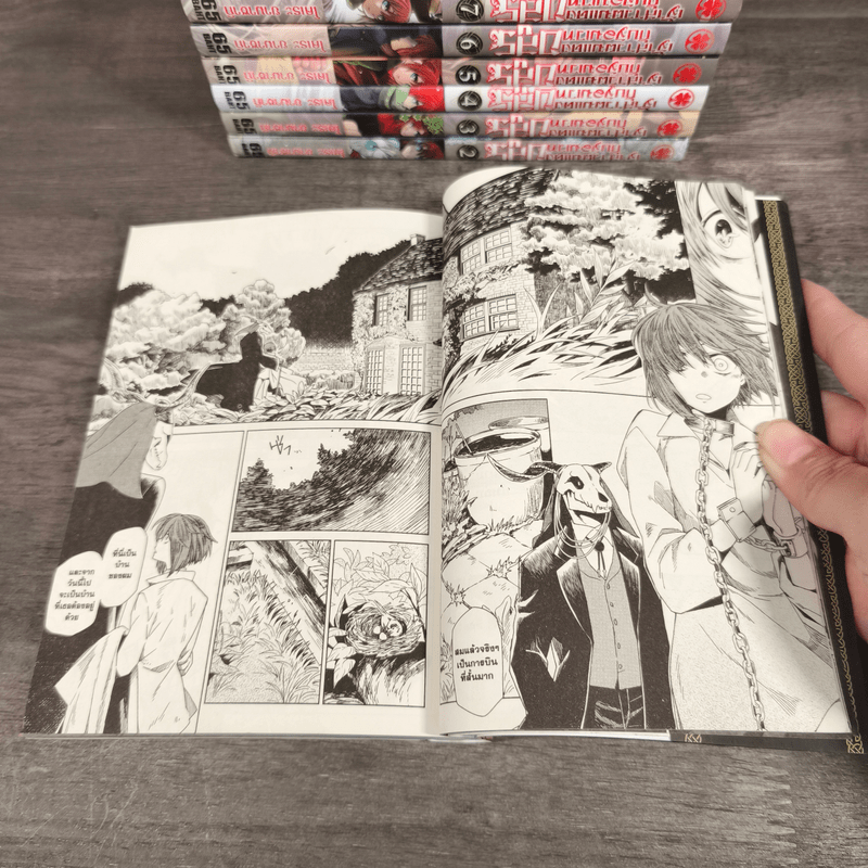 เจ้าสาวผมแดงกับจอมเวทอสูร เล่ม 1-9 - Yamazaki Kore