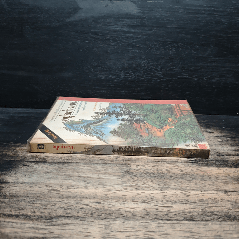 อยู่อย่างเซน - ละเอียด ศิลาน้อย