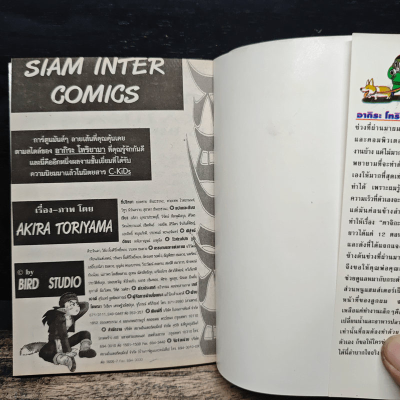 Kajika คาจิกะ - อ.อากิระ โทริยามะ