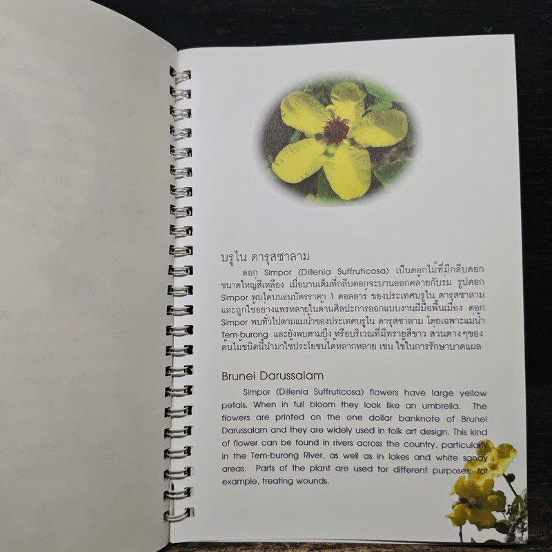 บุปผาแห่งอาเซียน