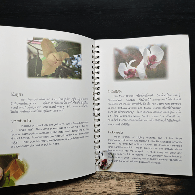 บุปผาแห่งอาเซียน