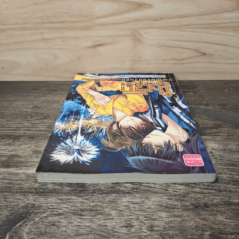 ปิ๊งรักละลายหัวใจ นายฟรีชชิ่งบอย - Akira