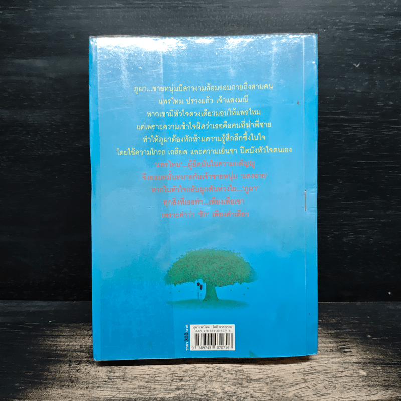 ภูผาแพรไหม - โสภี พรรณราย