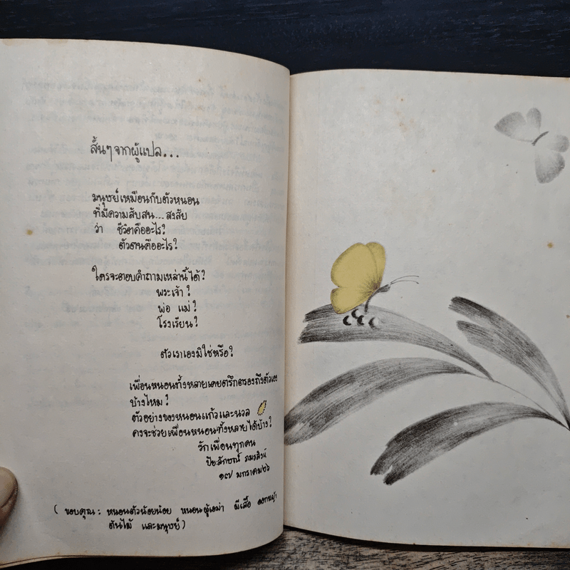 เส้นทางแห่งความหมาย - ปิยะลักษณ์ ภมรสิงห์