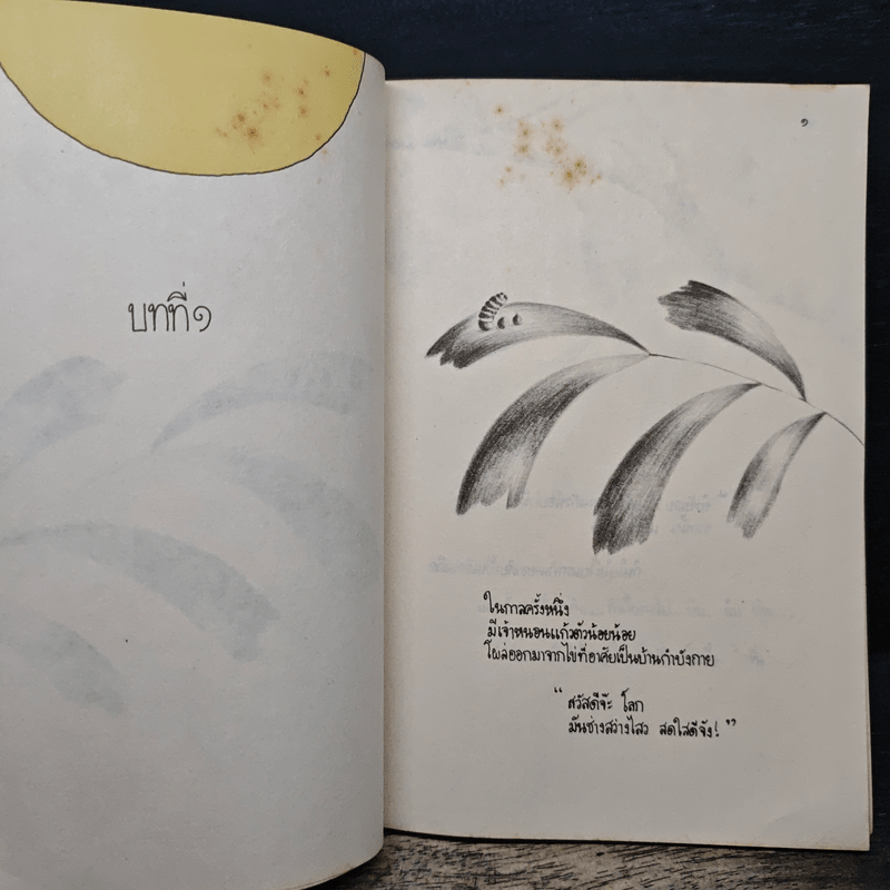 เส้นทางแห่งความหมาย - ปิยะลักษณ์ ภมรสิงห์