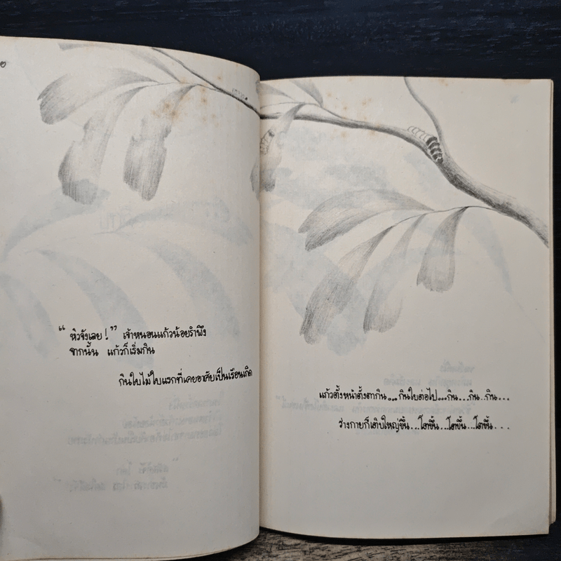 เส้นทางแห่งความหมาย - ปิยะลักษณ์ ภมรสิงห์