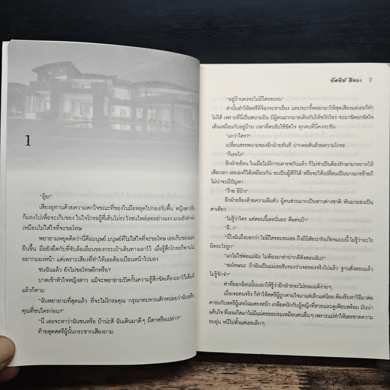 ไฟรักริษยา - ทัศนีย์ สีทอง