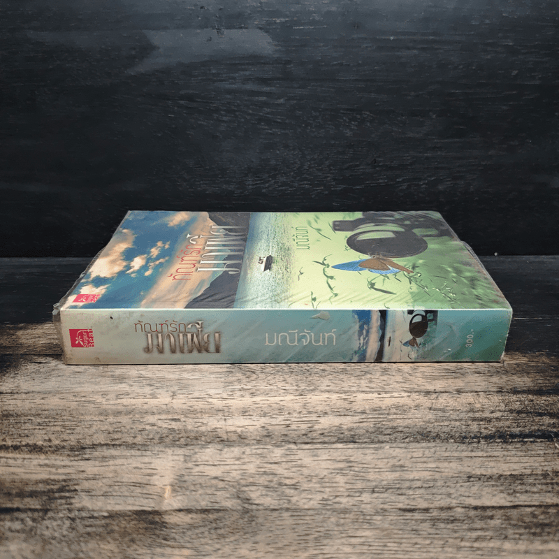 ทัณฑ์มาเฟีย - มณีจันท์