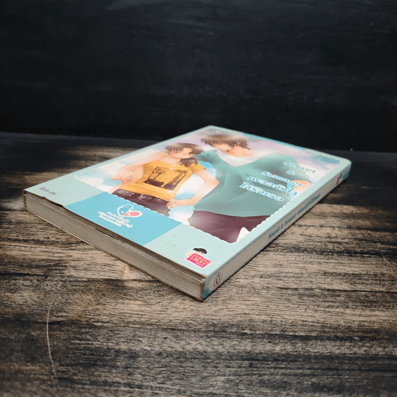 Secret & Summer เผลอหัวใจให้รักเธอ + Comic Version