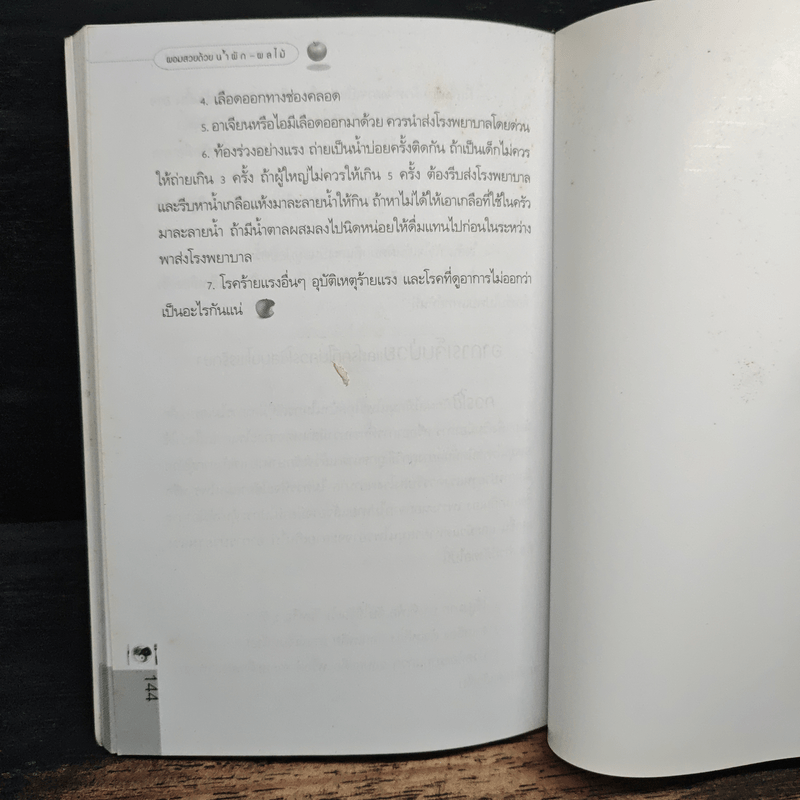 ผอมสวยด้วยน้ำผัก-ผลไม้ - ศิริลักษณ์