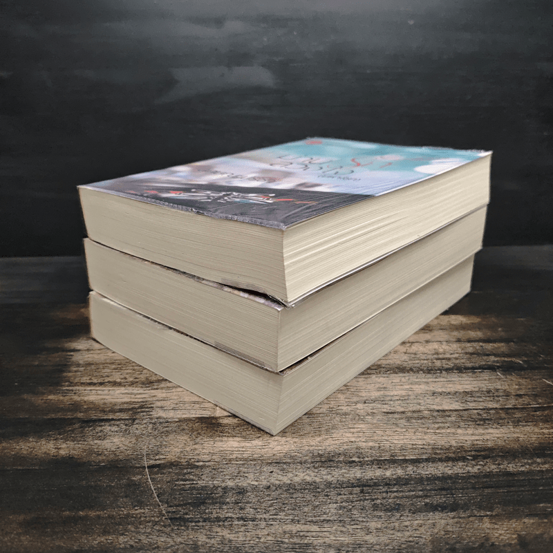 Box Set มาเฟีย เสี่ย ป๋า อุบัติสิเน่หา,อสูรเสี่ยงรัก,ม่านรักลวงใจ 3 เล่ม - ลักษณะปรีชา