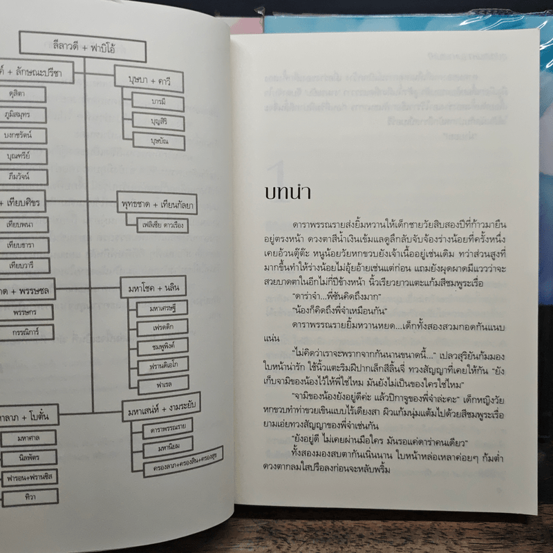 Box Set มาเฟีย เสี่ย ป๋า อุบัติสิเน่หา,อสูรเสี่ยงรัก,ม่านรักลวงใจ 3 เล่ม - ลักษณะปรีชา