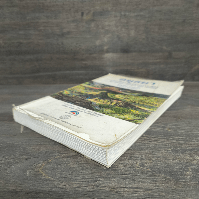 อยุธยา ประวัติศาสตร์และการเมือง - ชาญวิทย์ เกษตรศิริ