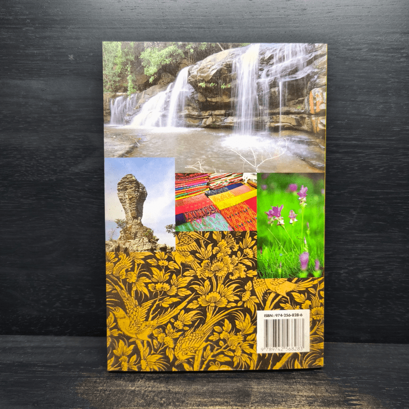 ชัยภูมิ แผ่นดินแห่งชัยชนะ พระยาแลรวมใจสร้างบ้านแปงเมือง