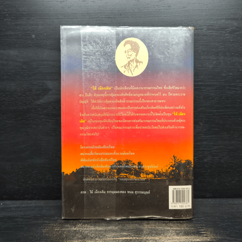 บางระจัน - ไม้ เมืองเดิม