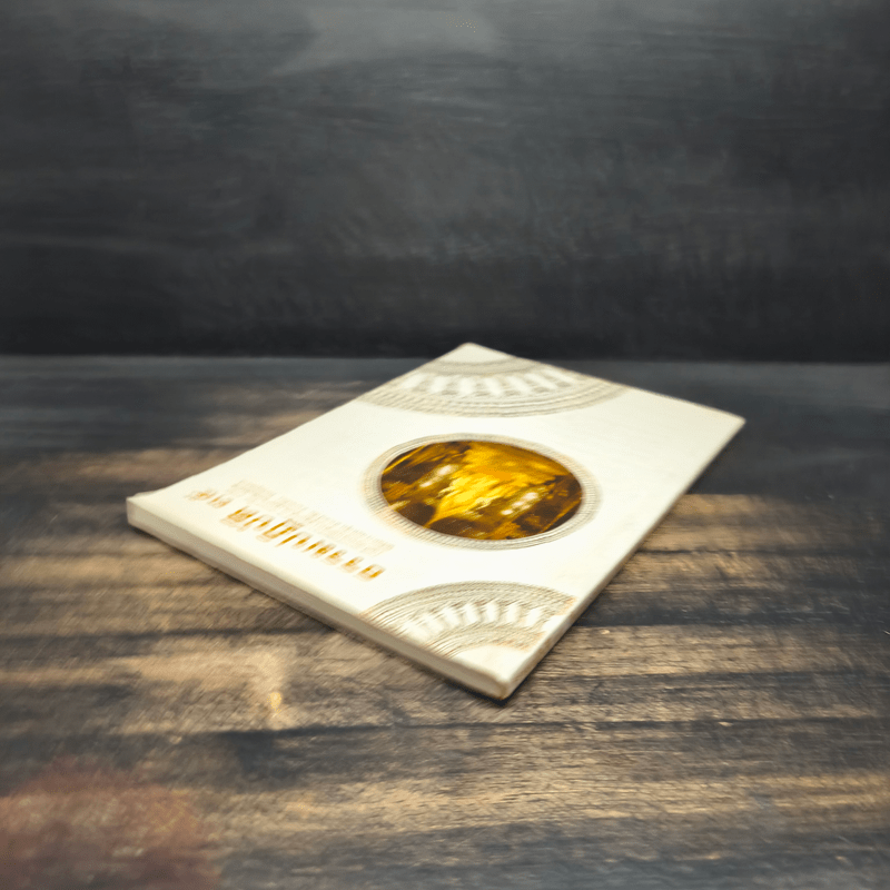 ธรรมปฏิบัติ 35 - พระราชพรหมยาน (พระมหาวีระ ถาวโร) วัดท่าซุง