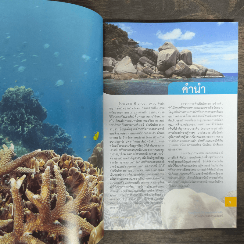 คู่มือการทำกิจกรรมเรียนรู้ระบบนิเวศทางทะเลและชายฝั่ง ระบบนิเวศแนวปะการัง เกาะเต่า