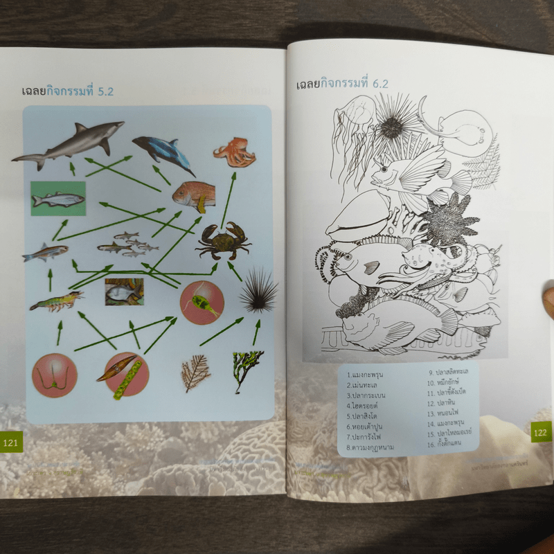 คู่มือการทำกิจกรรมเรียนรู้ระบบนิเวศทางทะเลและชายฝั่ง ระบบนิเวศแนวปะการัง เกาะเต่า