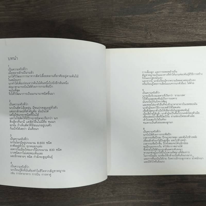 เรื่องของนกไม่มีเสียง - วชิรา