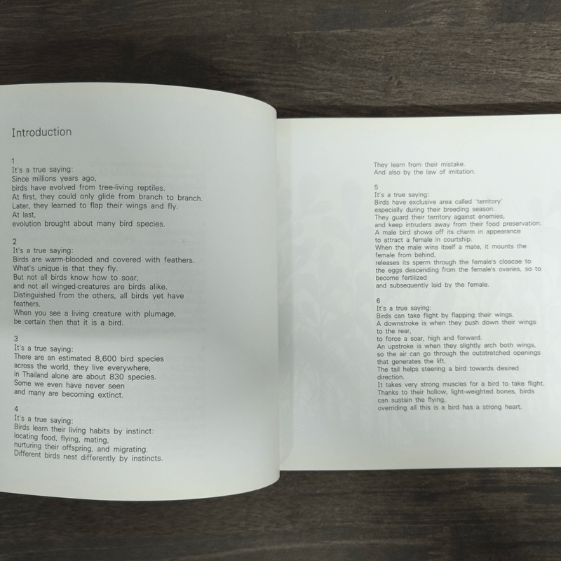 เรื่องของนกไม่มีเสียง - วชิรา