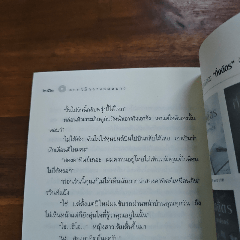 หิมะกลางทะเลทราย - กิ่งฉัตร