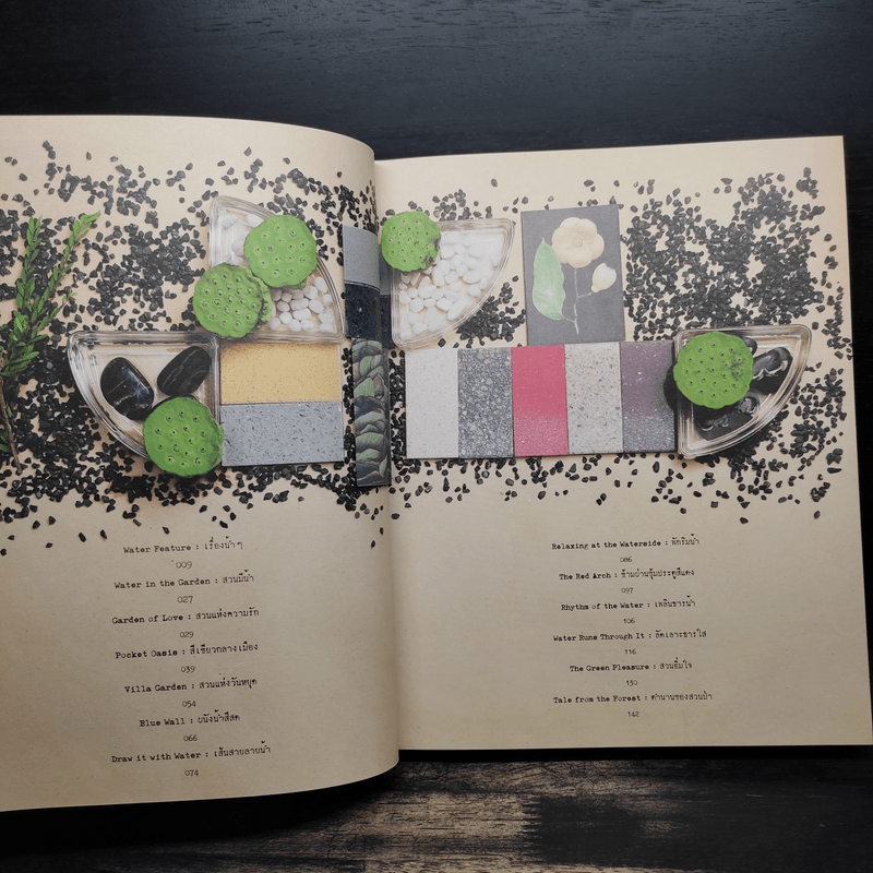สวนมีน้ำ Water in the garden