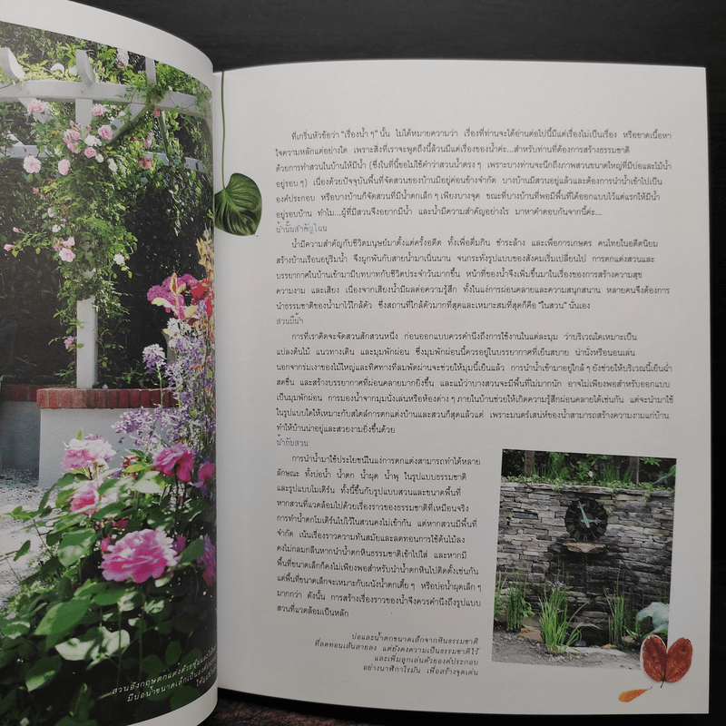 สวนมีน้ำ Water in the garden