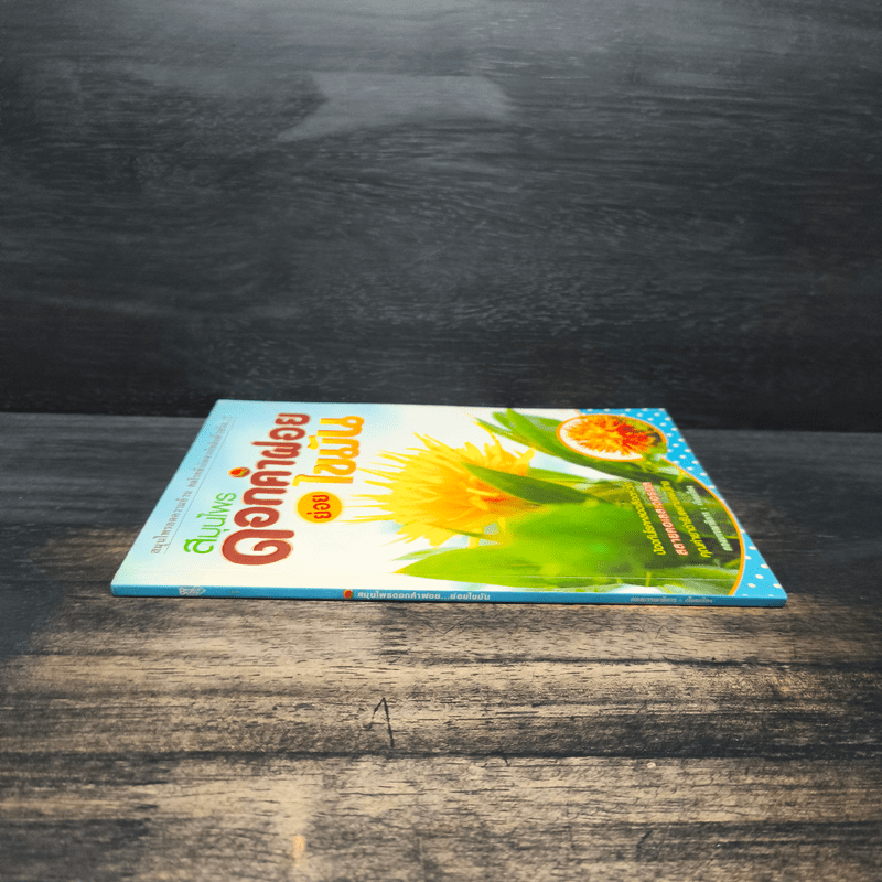 สมุนไพรดอกคำฝอย ย่อยไขมัน